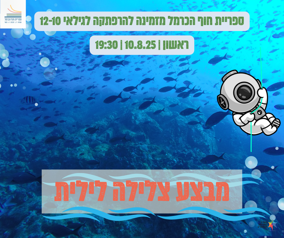 צלילה לילית 1